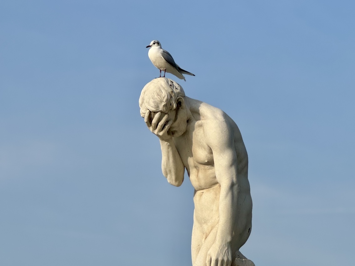 Mehr über den Artikel erfahren Wenn der Druck unerträglich wird – Symptome und Auswege aus dem Dauerstress
