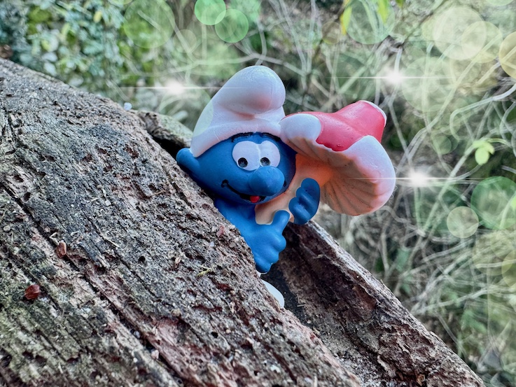 Mehr über den Artikel erfahren Gute Vorsätze und Glück: Wie nachhaltige Veränderung wirklich gelingt