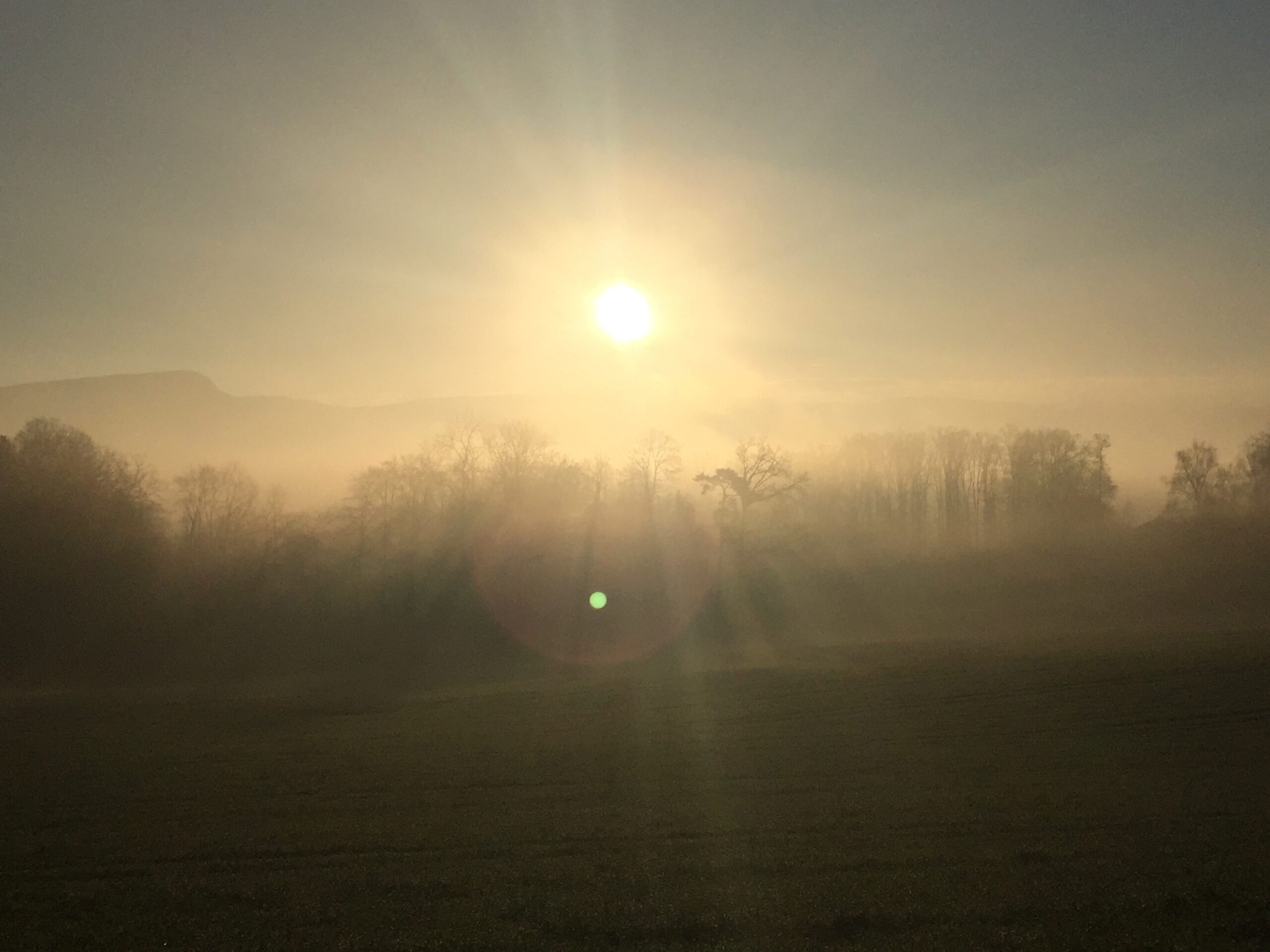 Mehr über den Artikel erfahren Wenn Hoffnung leiser wird und Einsamkeit lauter spricht – Wege zurück zur Verbundenheit