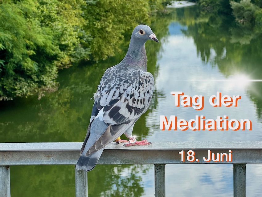 Mehr über den Artikel erfahren Tag der Mediation: Warum Konflikte oft die besseren Wegweiser sind