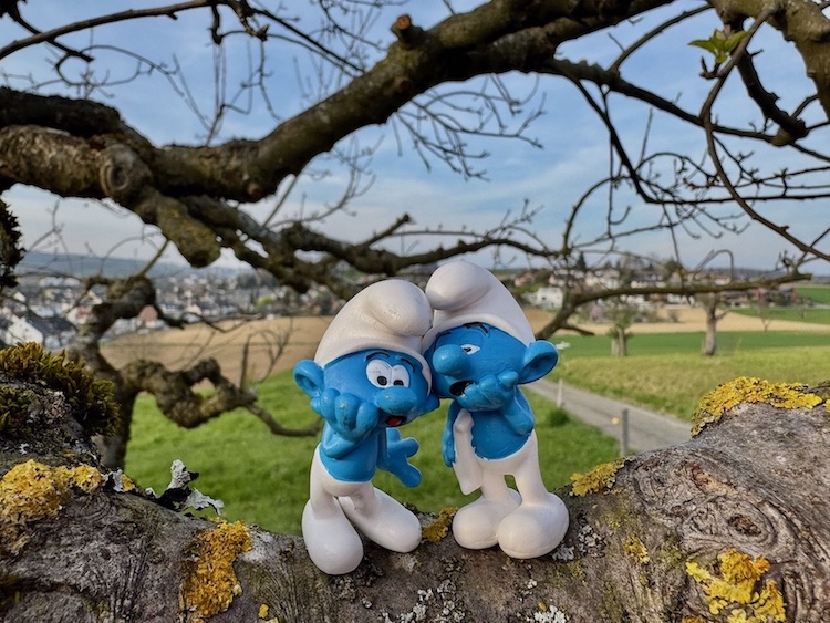 Mehr über den Artikel erfahren VUCA vs. BANI: Wie Coaching Orientierung in unsicheren Zeiten schafft