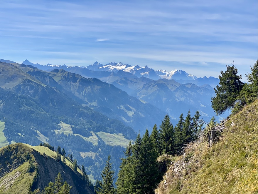 Mehr über den Artikel erfahren Was Coaching leisten kann: Klarheit gewinnen und den richtigen Weg finden